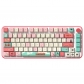 Spirited Away 104+34 / 54 Cherry Profile Keycap Set Cherry MX PBT Dye-subbed for Mechanical Gaming Keyboard